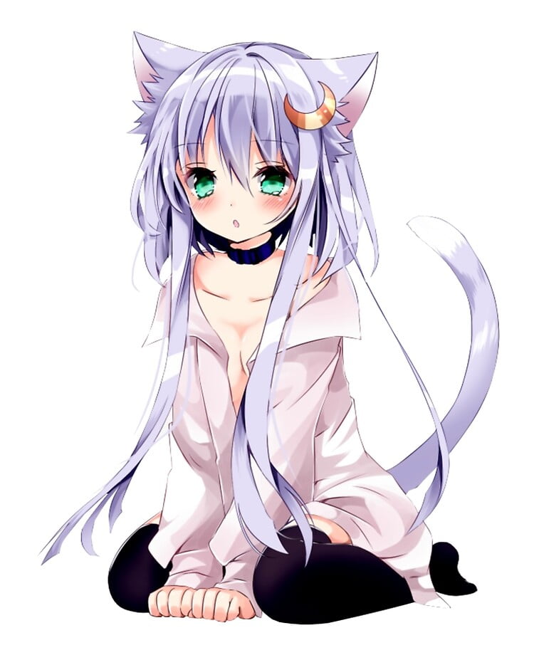 Anime Cat Girl