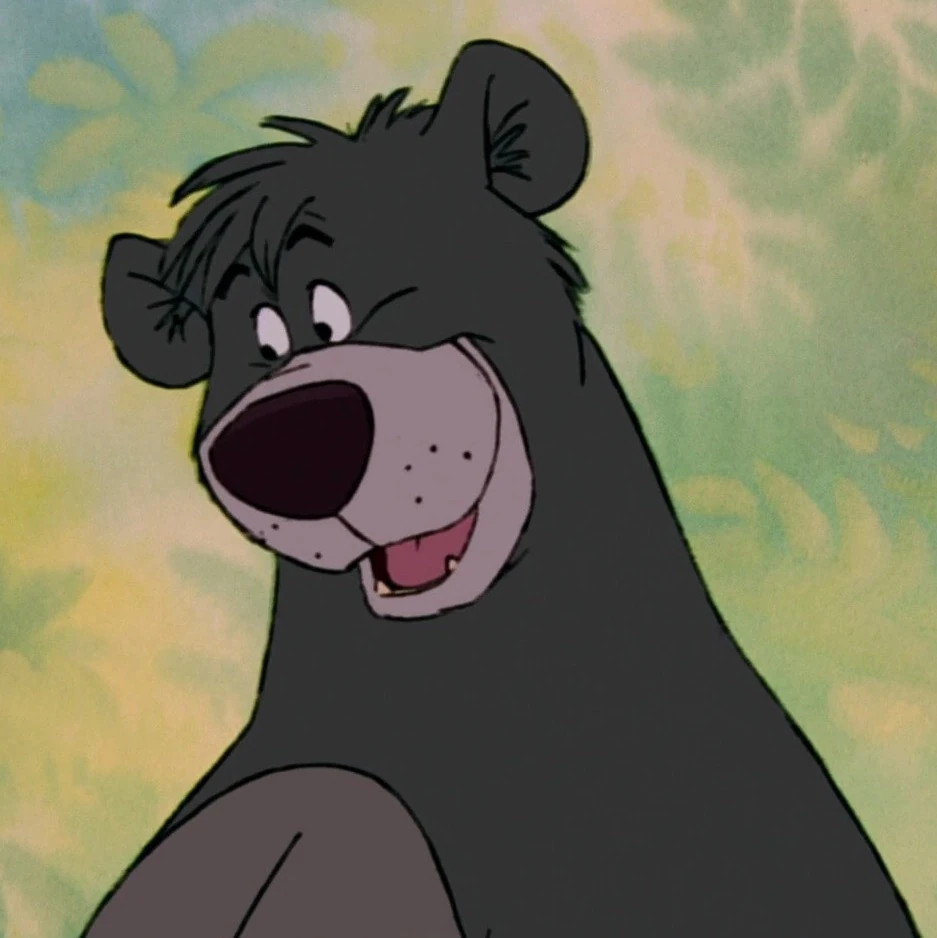 Baloo – Jungle Book