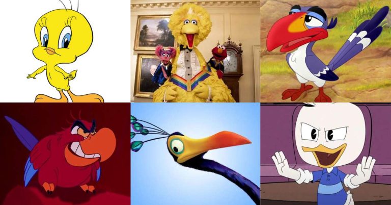 Bird Cartoon Characters