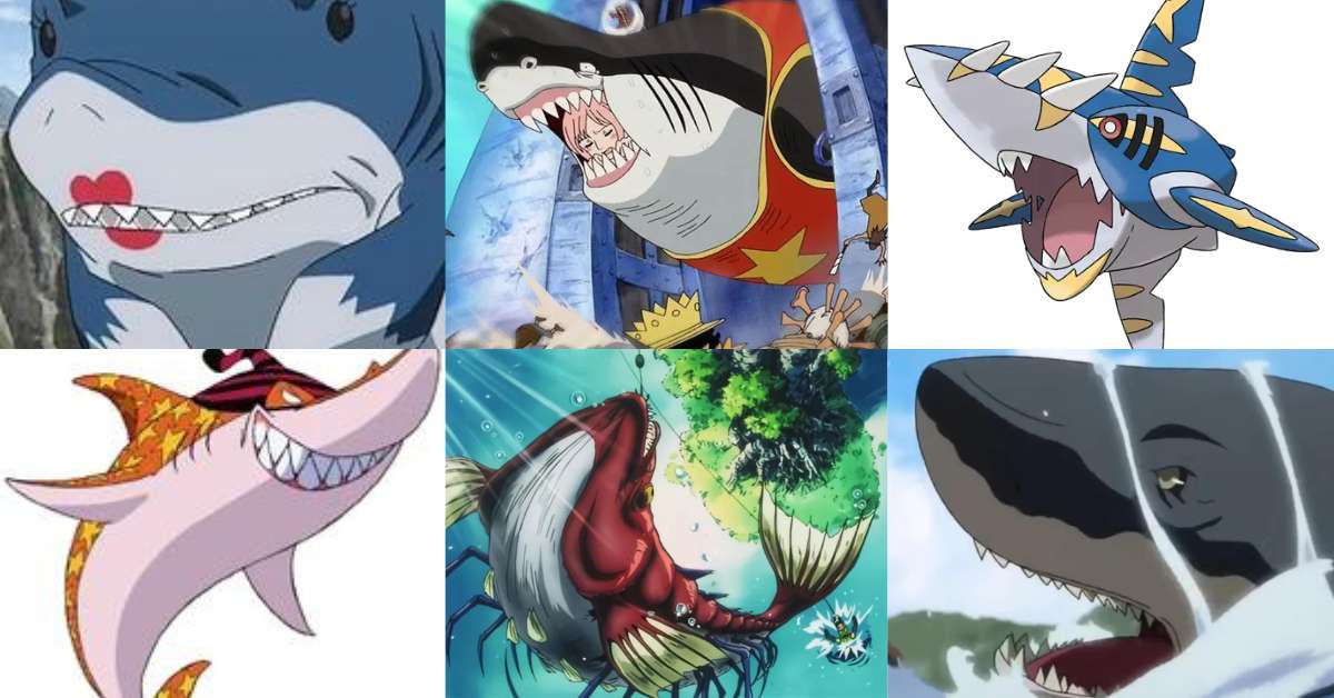 Anime Shark Characters